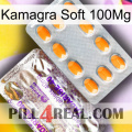 Kamagra Soft 100Mg new12